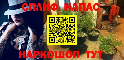 apvp Кунгур