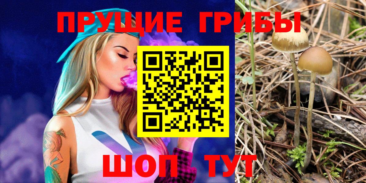 купить  сайты  Вход с VPN  Знаменск  Галлюциногенные грибы GOLDEN TEACHER  Псилоцибиновые грибы MAGIC MUSHROOMS 