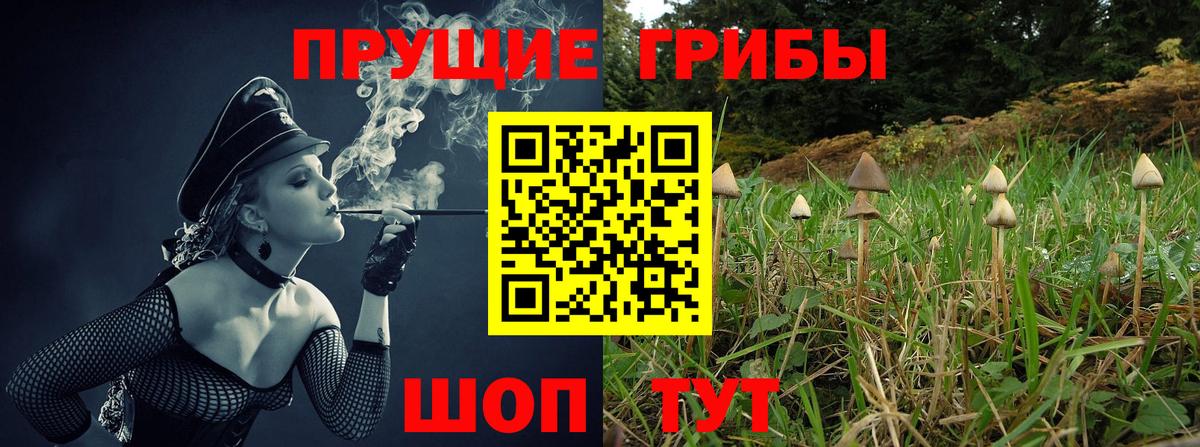 Галлюциногенные грибы ЛСД Знаменск
